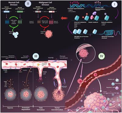 Unlocking the power of nanomedicine: the future of nutraceuticals in oncology treatment